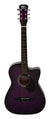 Intern INT-38C-VT-G Cutaway Right Handed Acoustic Guitar Kit, With Bag, Strings, Pick And Strap (Violet, 6-Strings)