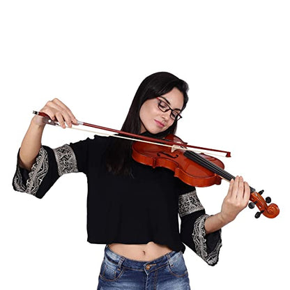 ARCTIC AR-PVK-01 Neo Violin Kit - Violin 4/4 with case, bow & Rosin
